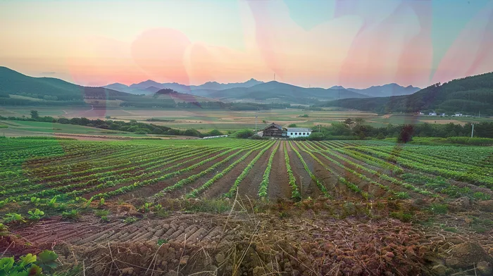 개인회생 변제금 납입 연체 예방