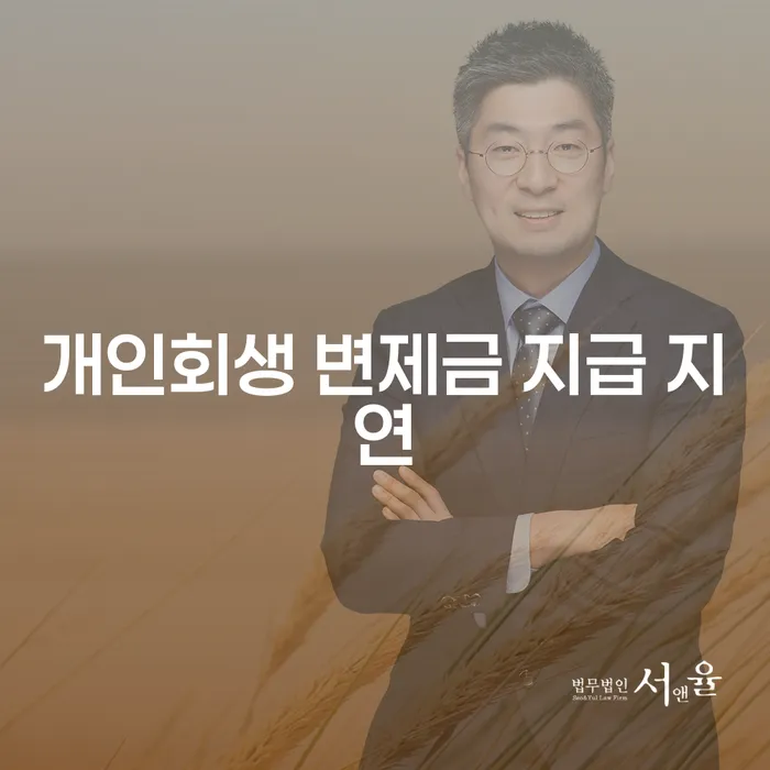 개인회생 변제금 지급 지연: 어떻게 대처할 수 있을까요?