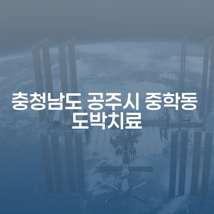 충청남도 공주시 중학동에서 도박치료를 받으면서 회생파산전문변호사를 찾아야 하는 이유는 무엇일까요?